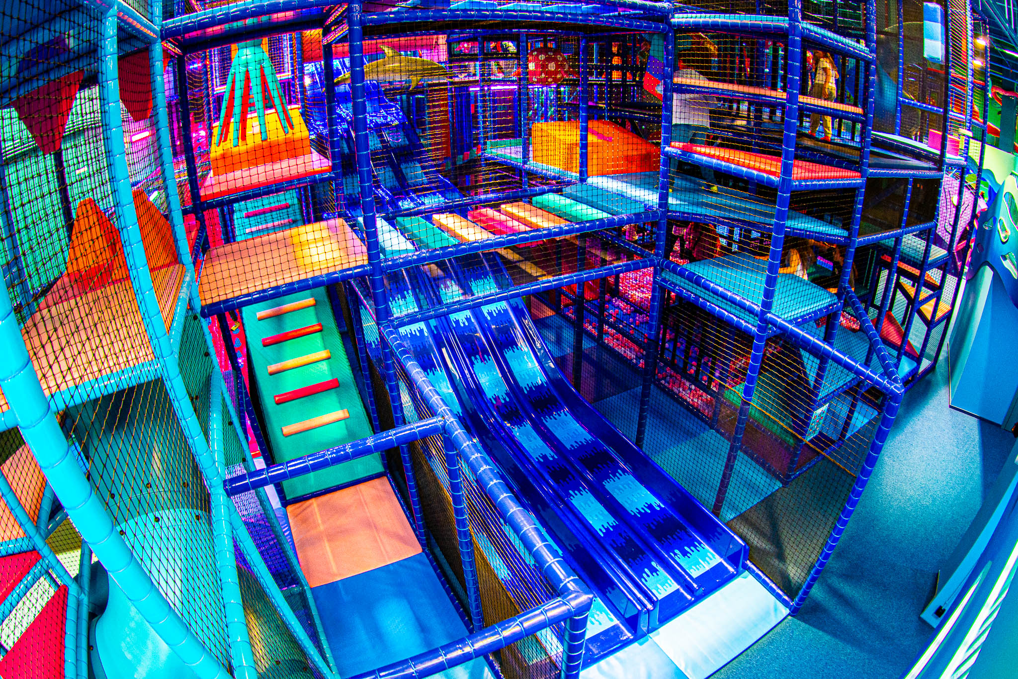 Toboggans à plusieurs voies